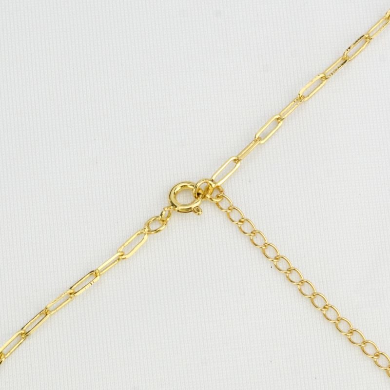 Colar Cadeado Alongado 2,5mm 45cm Fecho Boia